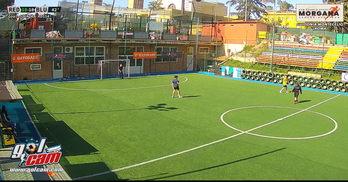 Goal figo