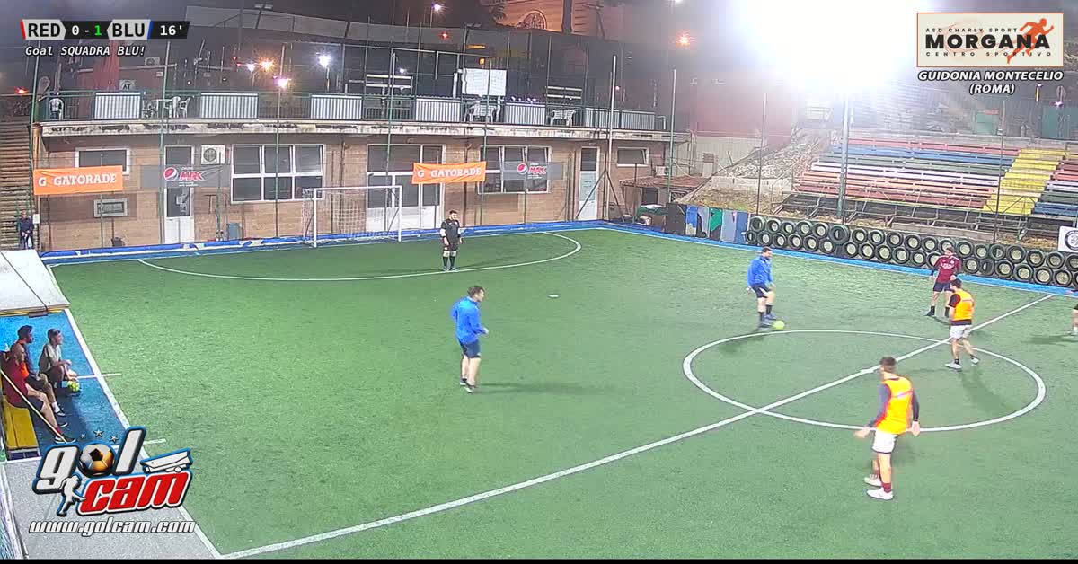 Gol jako