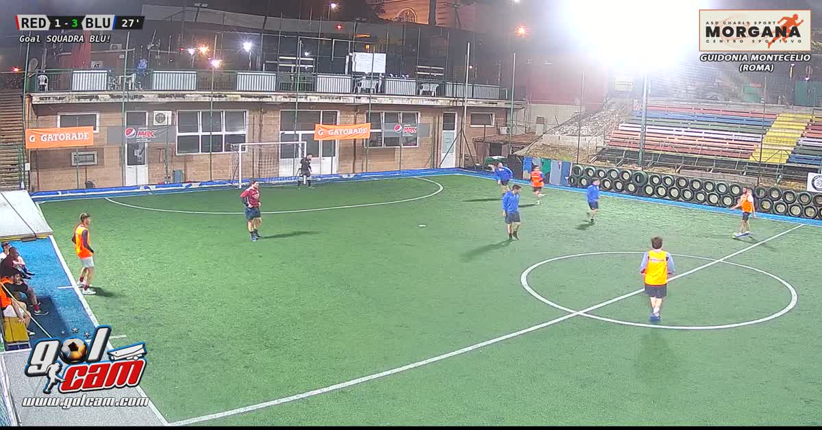 Gol jajo