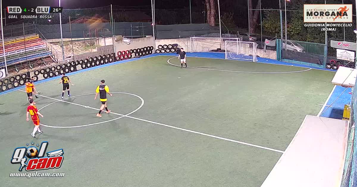Gol leo