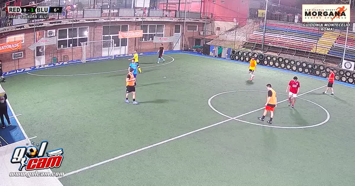 Gol marino