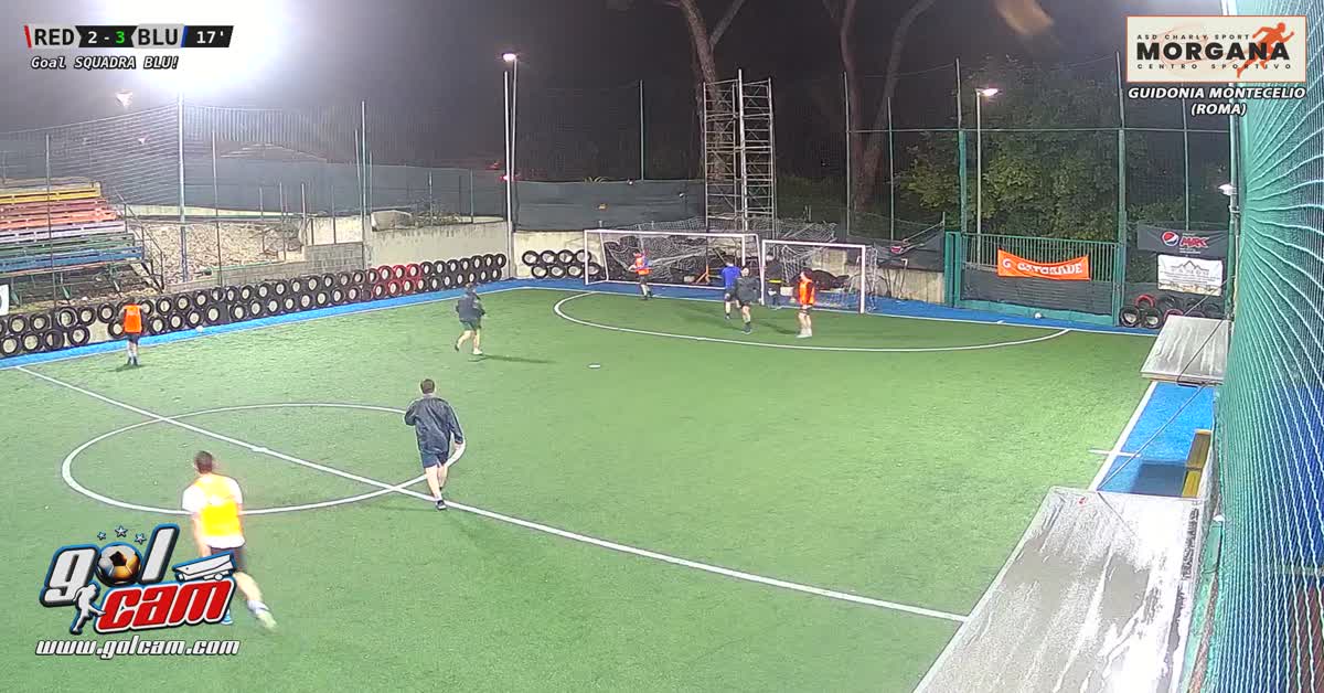 Gol jajo