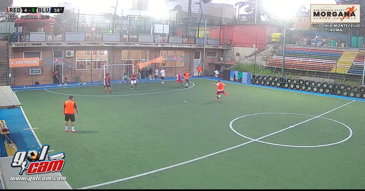 Goal 9 