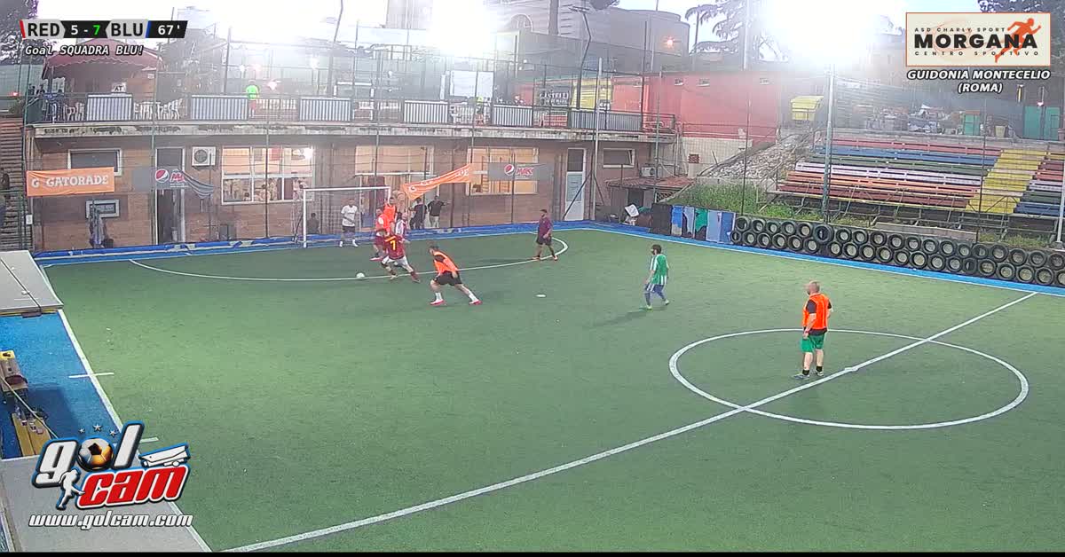 Goal 12