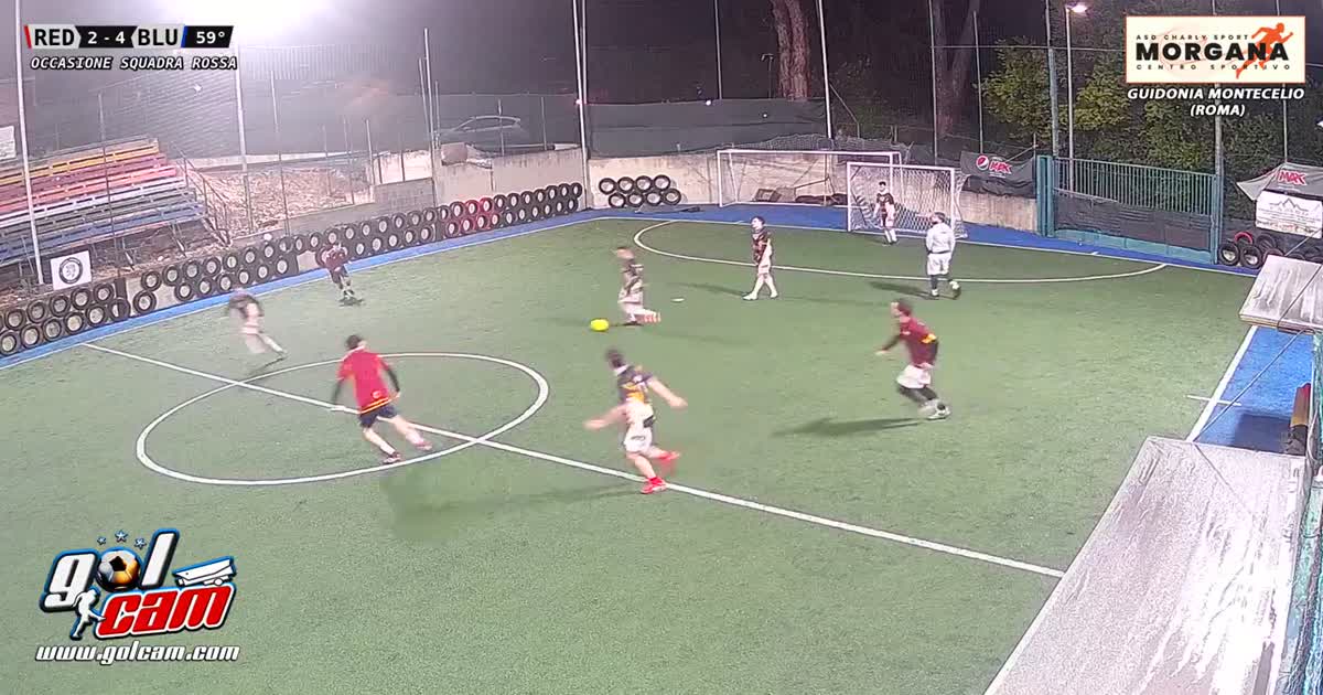 Parata botta