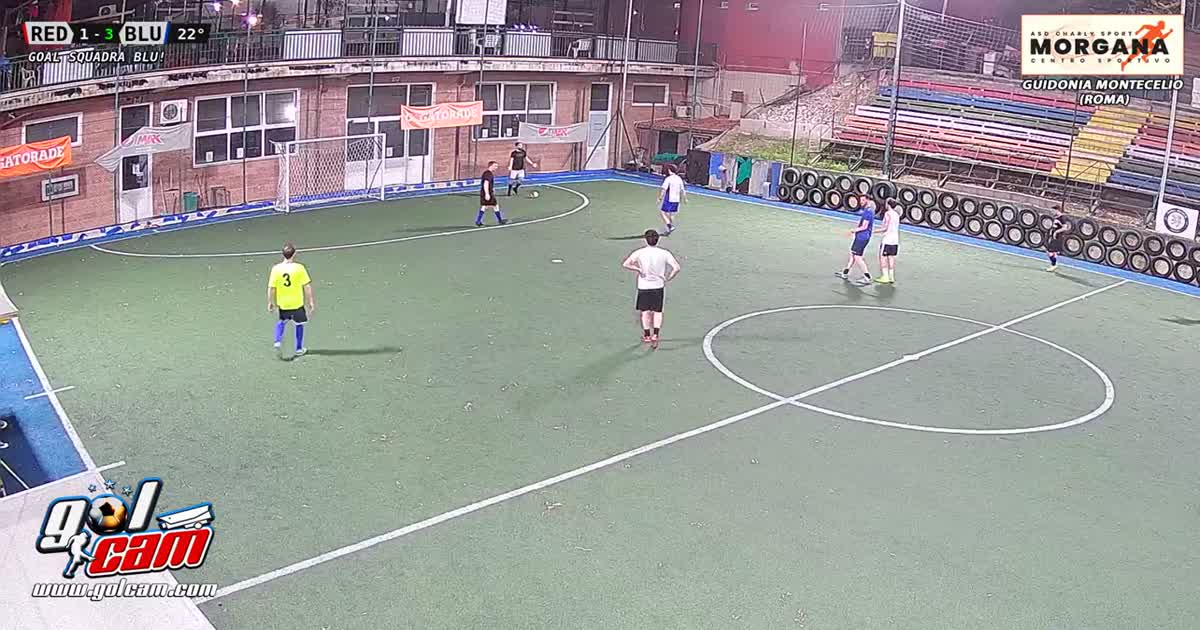 Gol pal