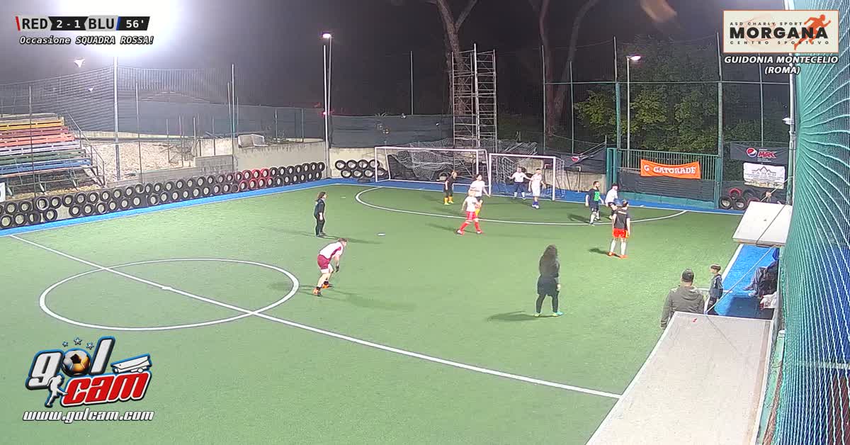 Gol neri Sceila