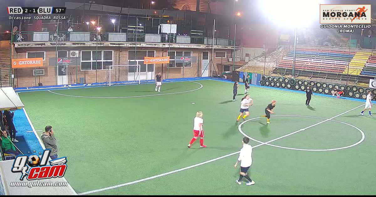 Gol neri Sceila