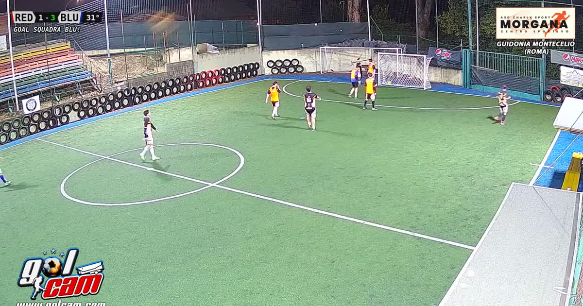 Gol al volo
