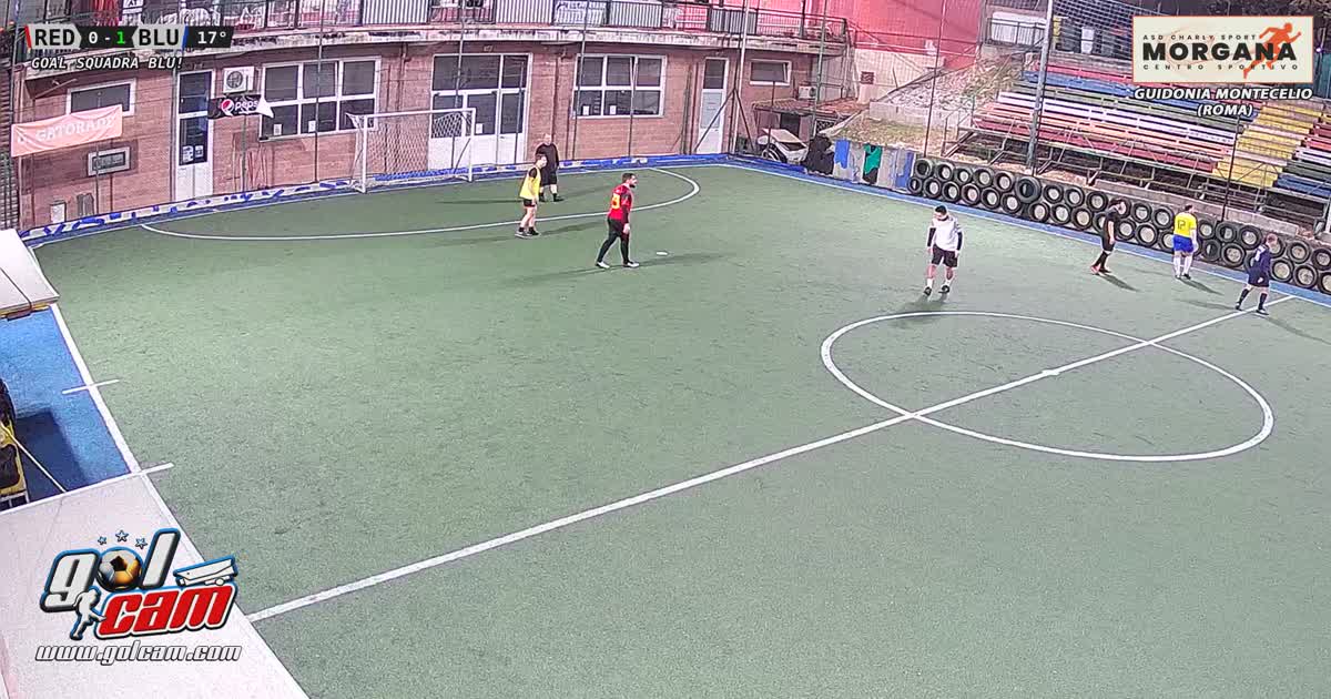 Gol Fede