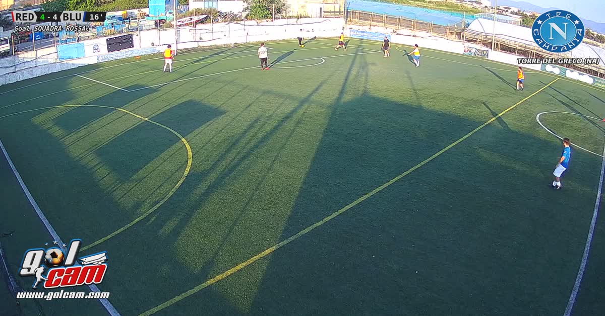 Gol miccoli
