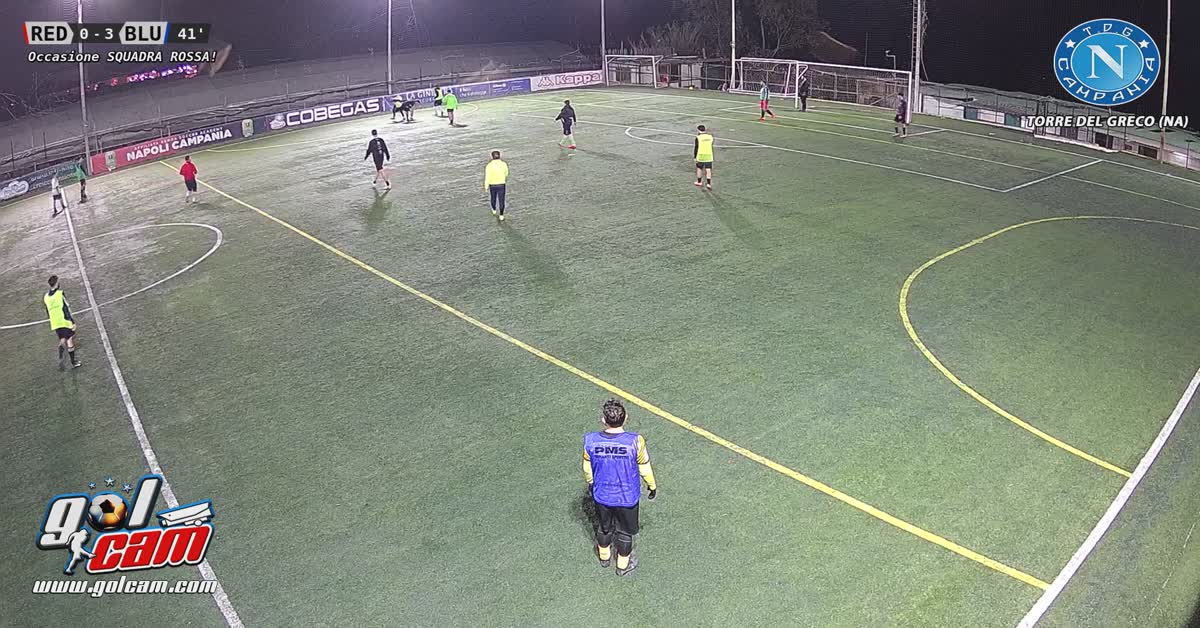 Palo 1