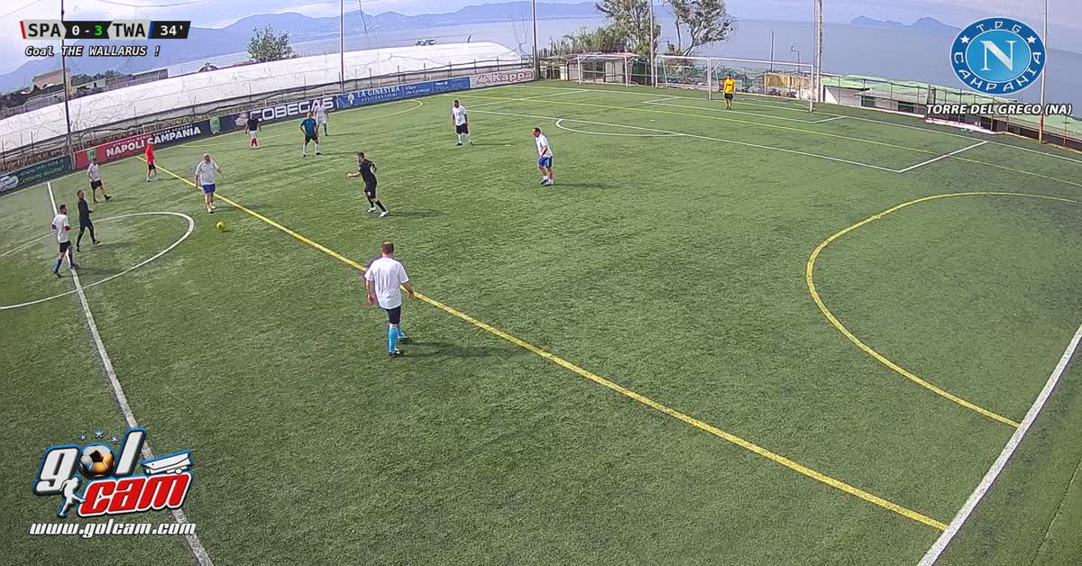 Gol-Max