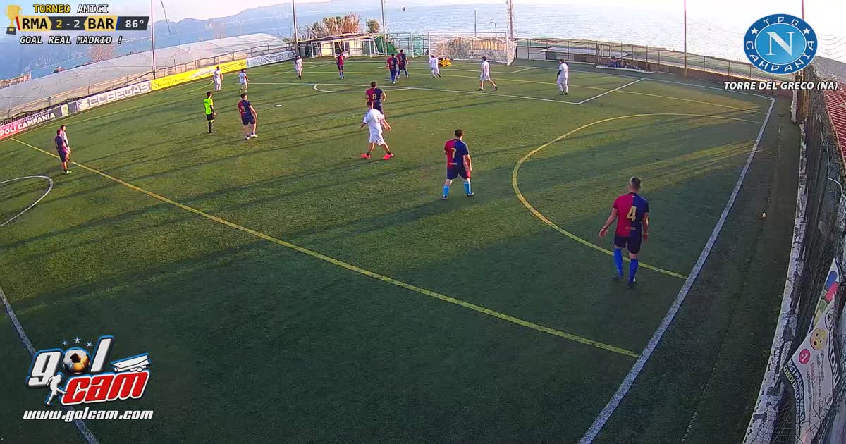 2-2 Pianella M (Real)