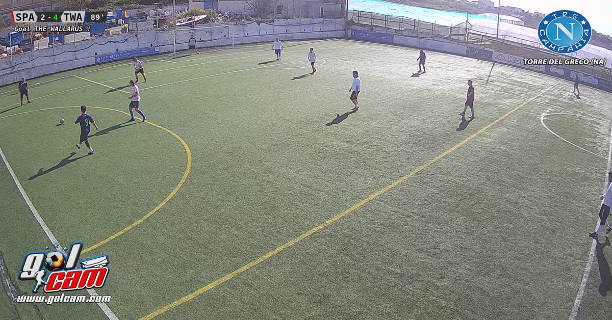 gol roy