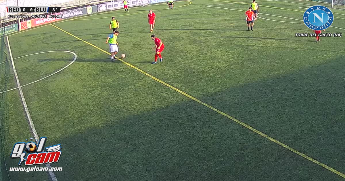 Dribling alla leo