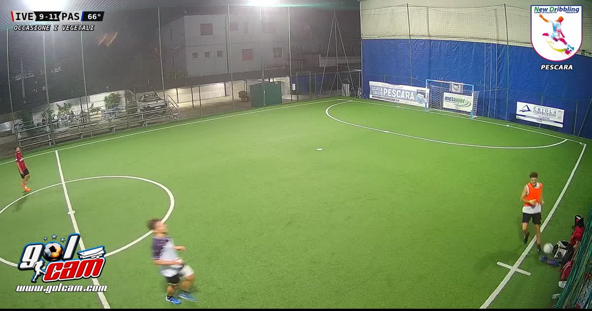 Cercatoilgol