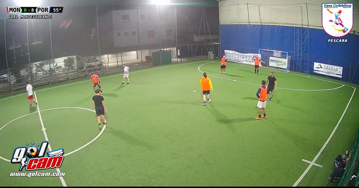 Goal 4
