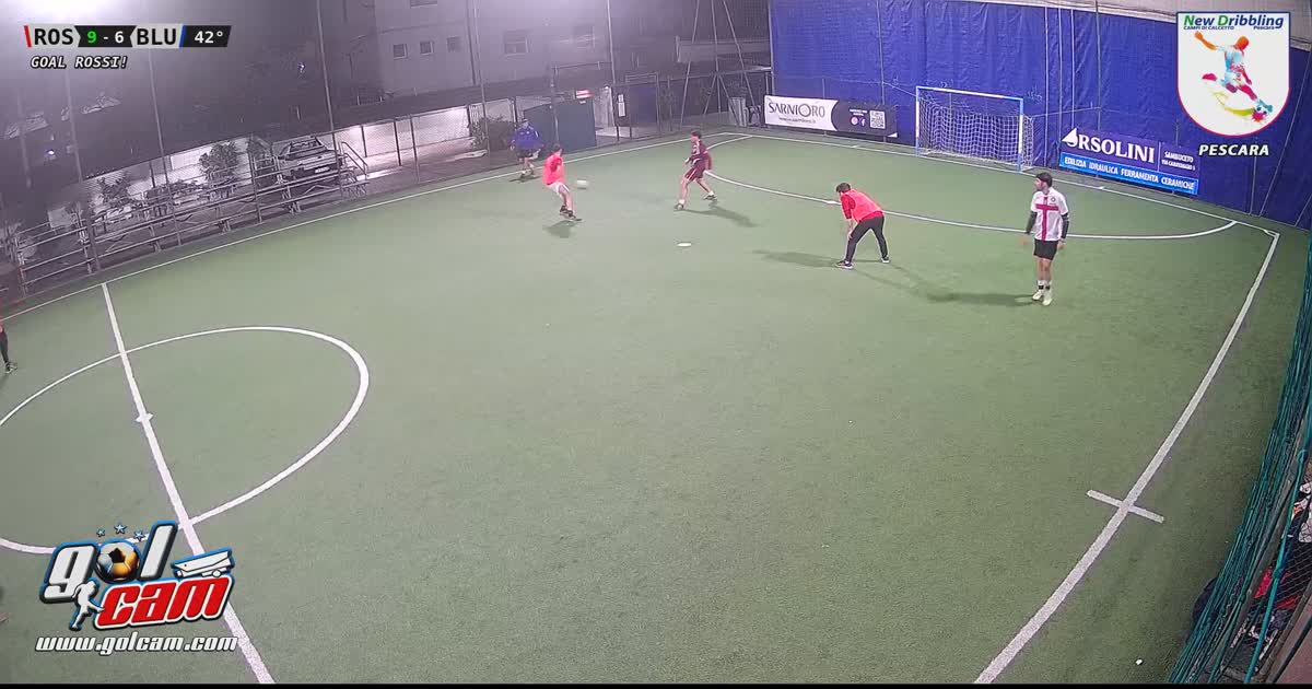 Goal fenomale