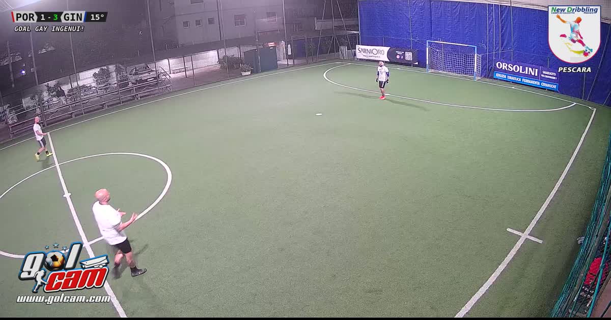 Goal 1