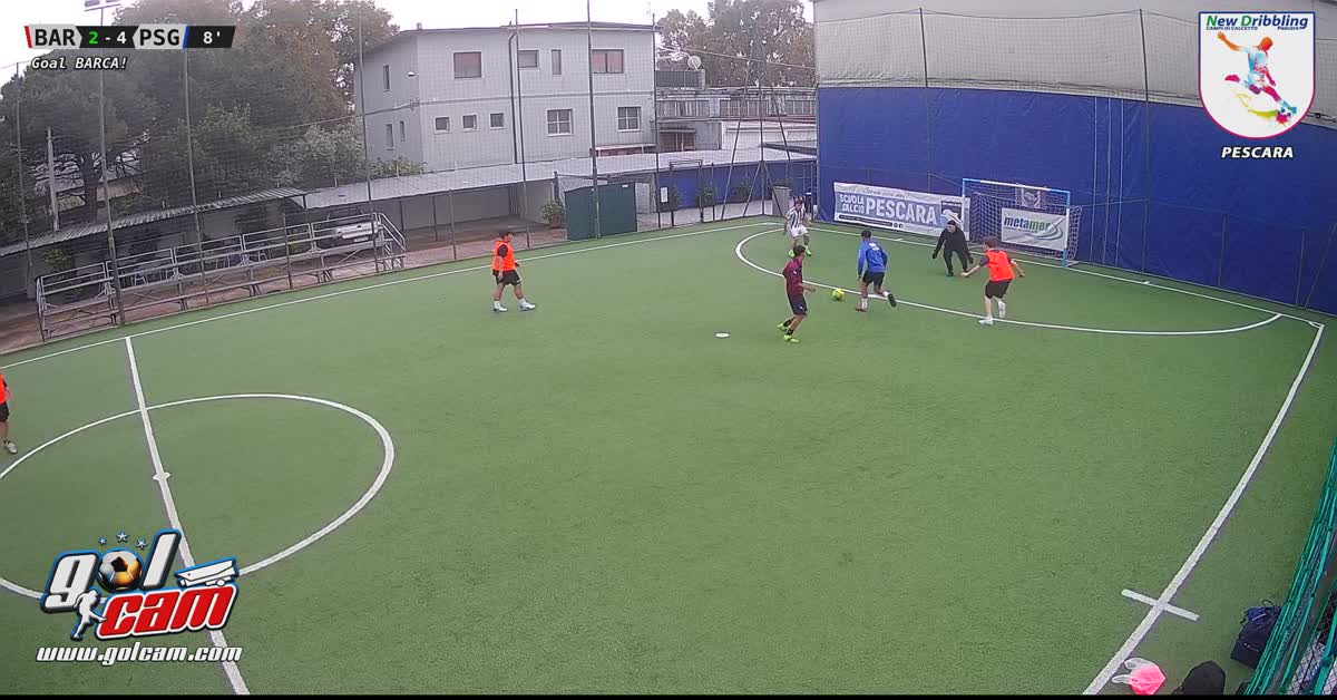 Goal 1