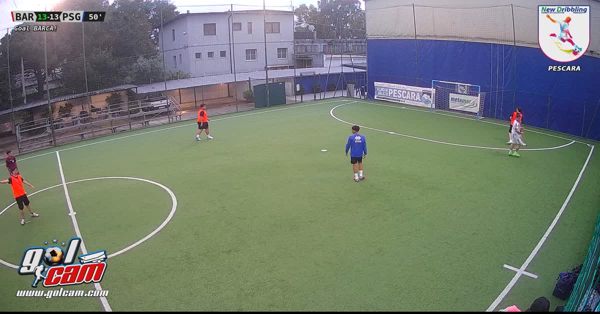 Goal 4