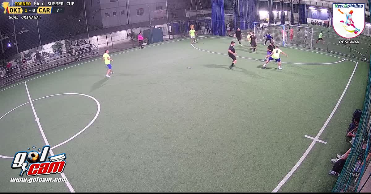 GOAL 1