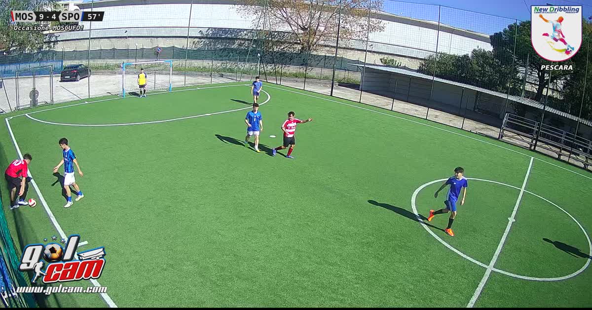 Profico vs Nik