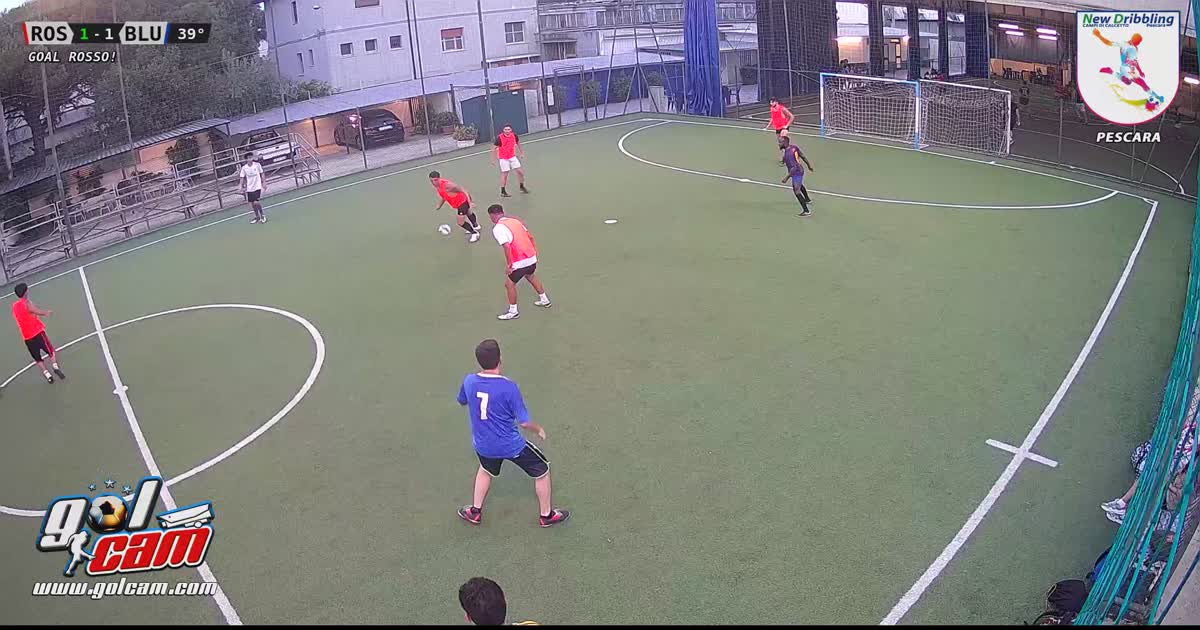 Goal 1