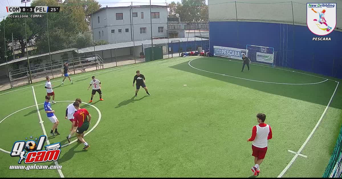 Gol pela