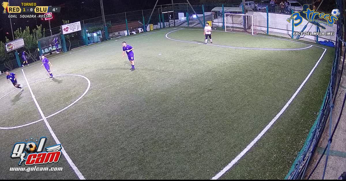 Gol fiorentina atalanta 