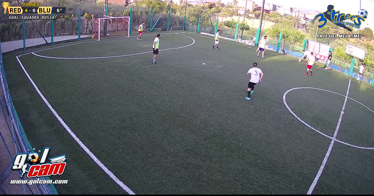 Gol dal palo