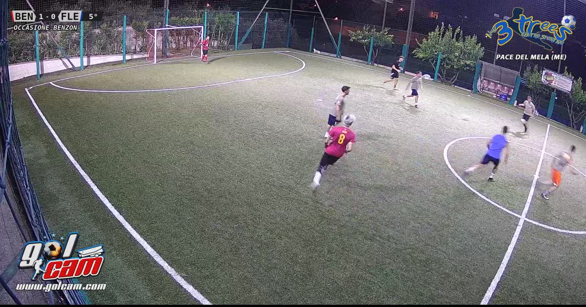 Gol falchi