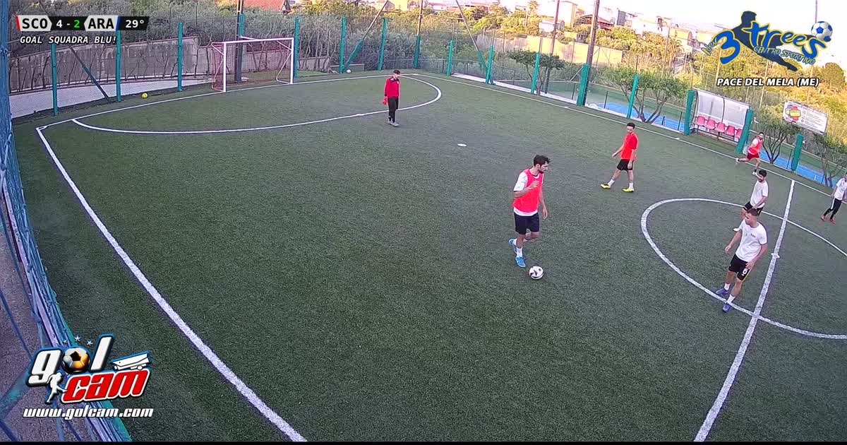 Gol Moss