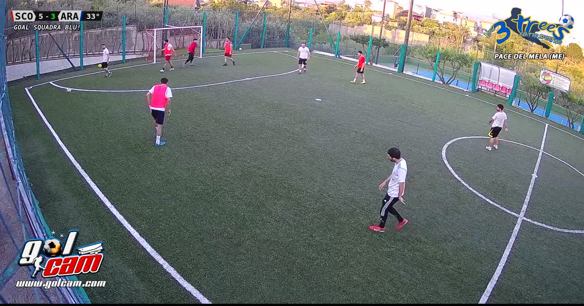 Gol Moss