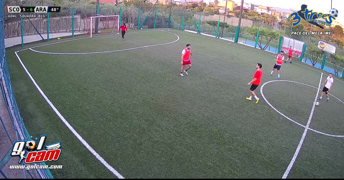 Gol Moss