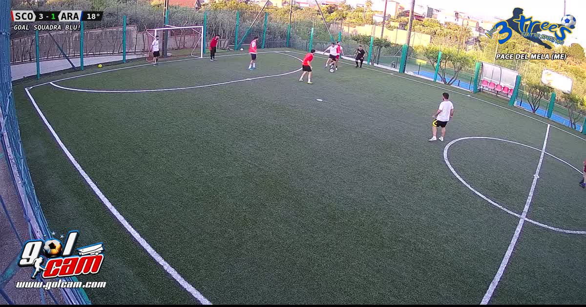 Gol Moss
