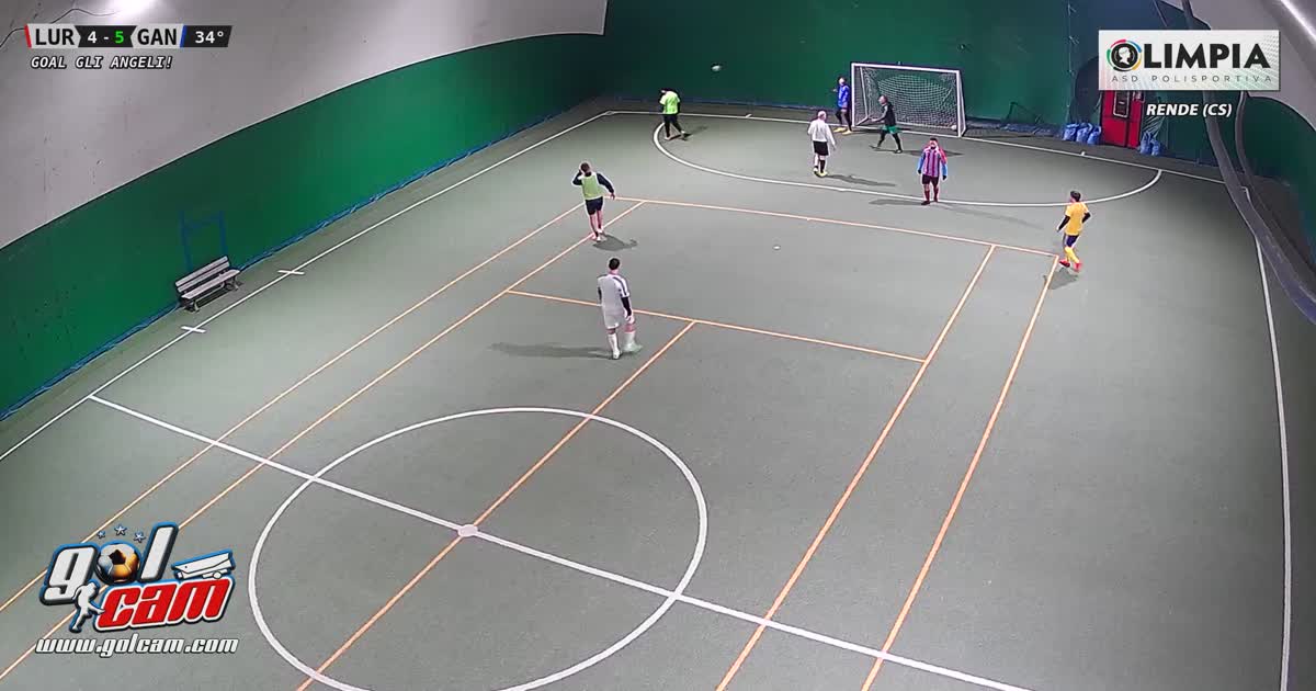 Goal 4