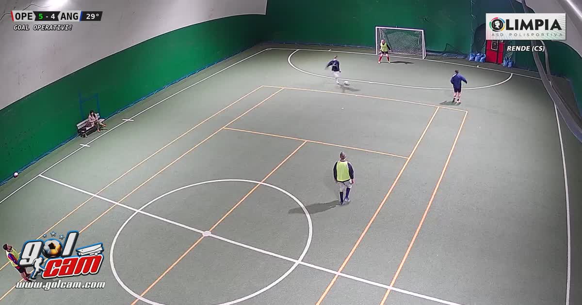 Savic-gol