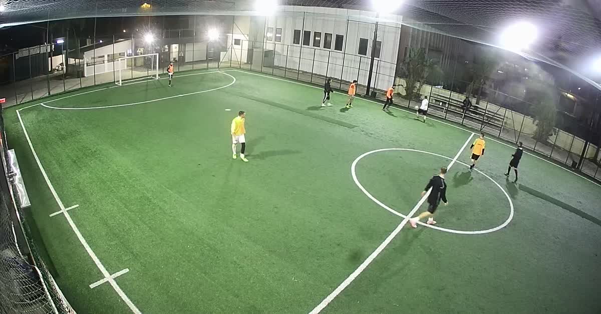 Tiro al volo