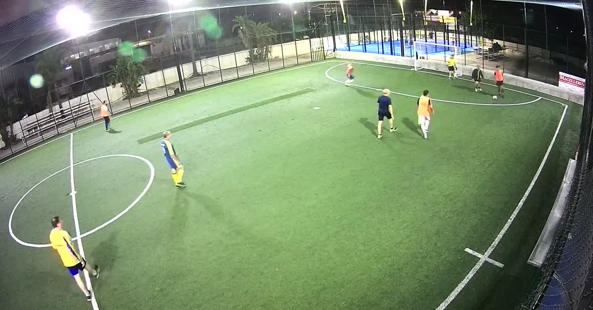Intravaia palo