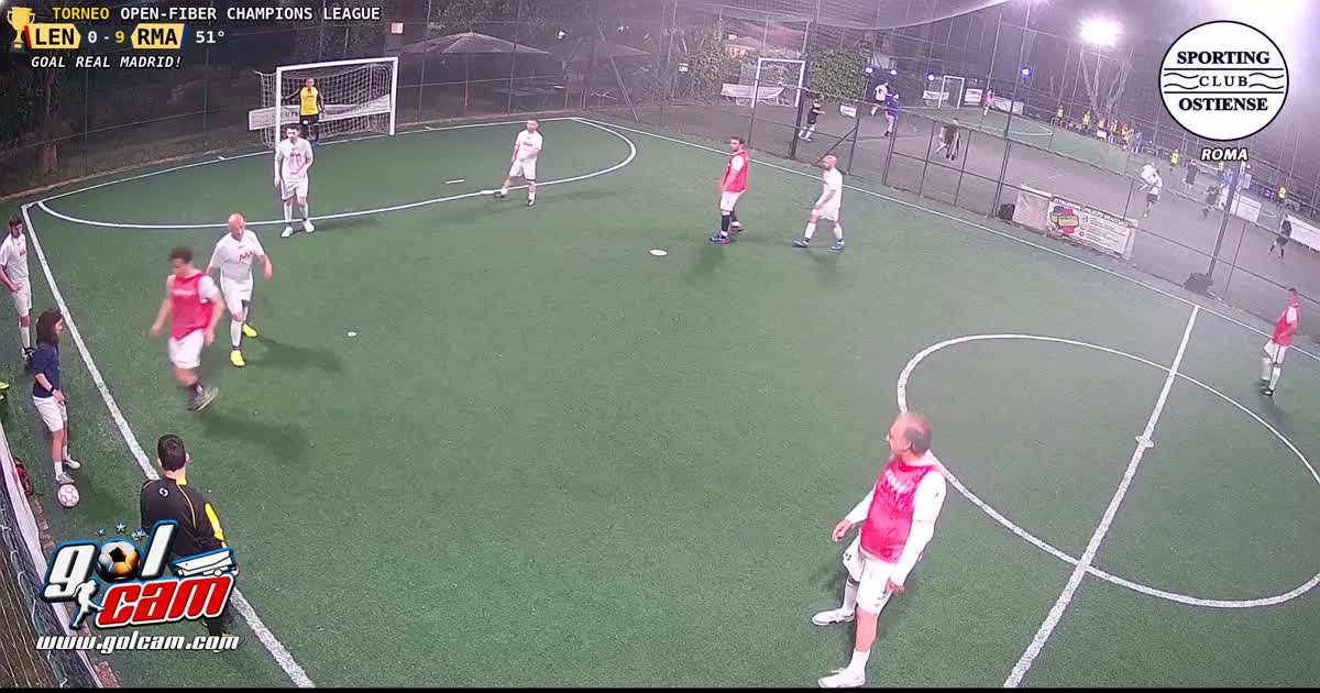 goal 11