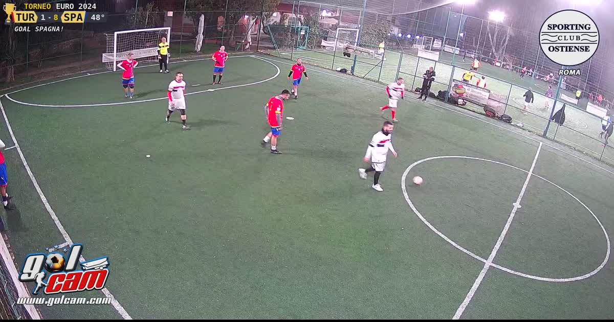 Tiro al volo