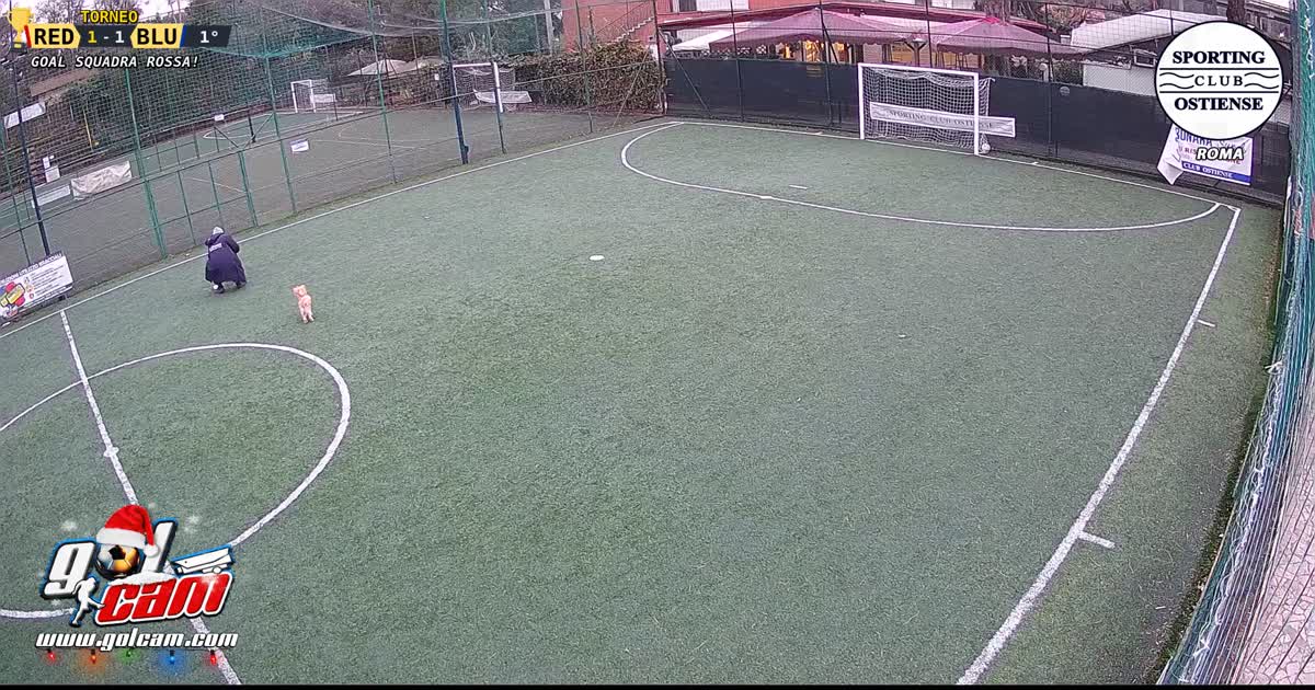 prova 1