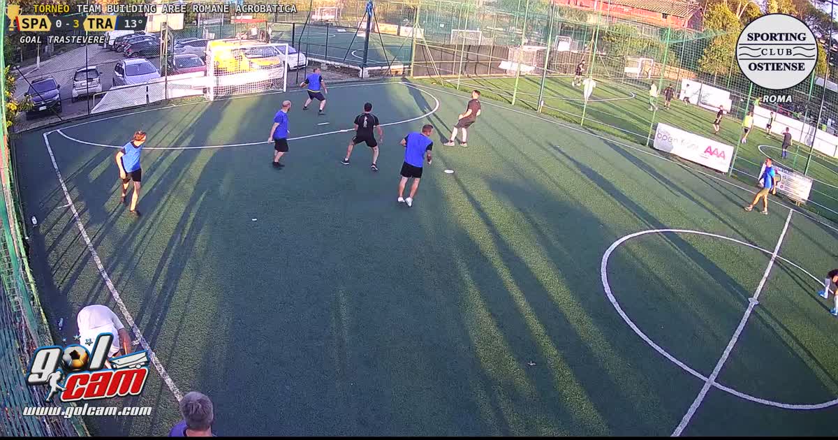 Ale gol