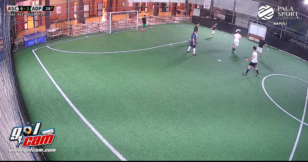 Goal 1