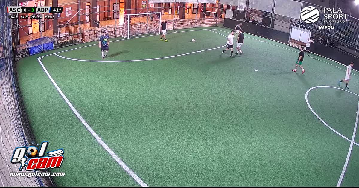 Goal 3