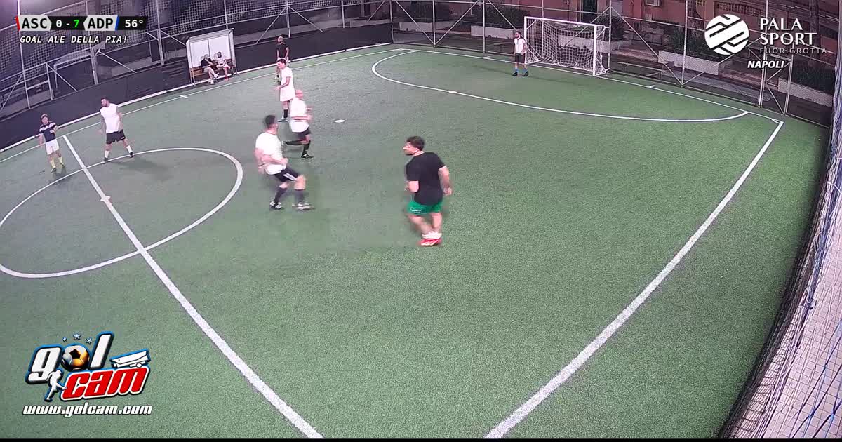 Goal 7