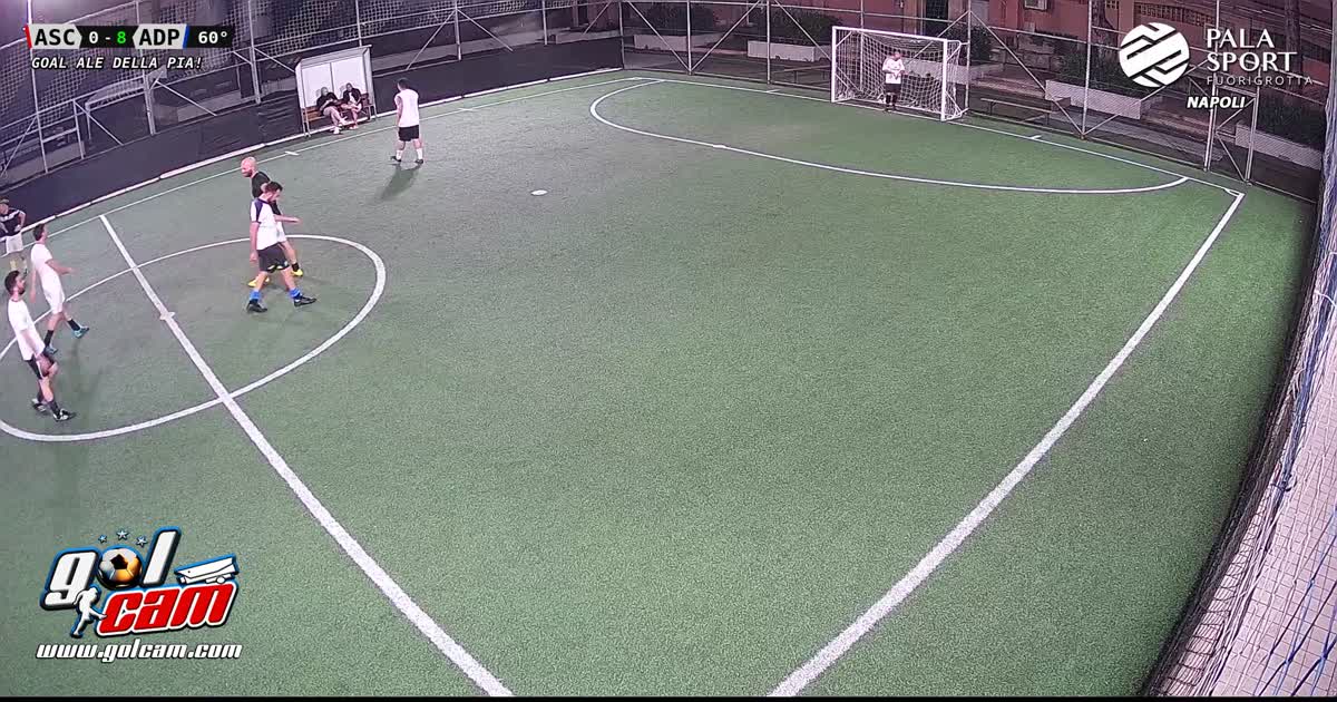 Goal 8