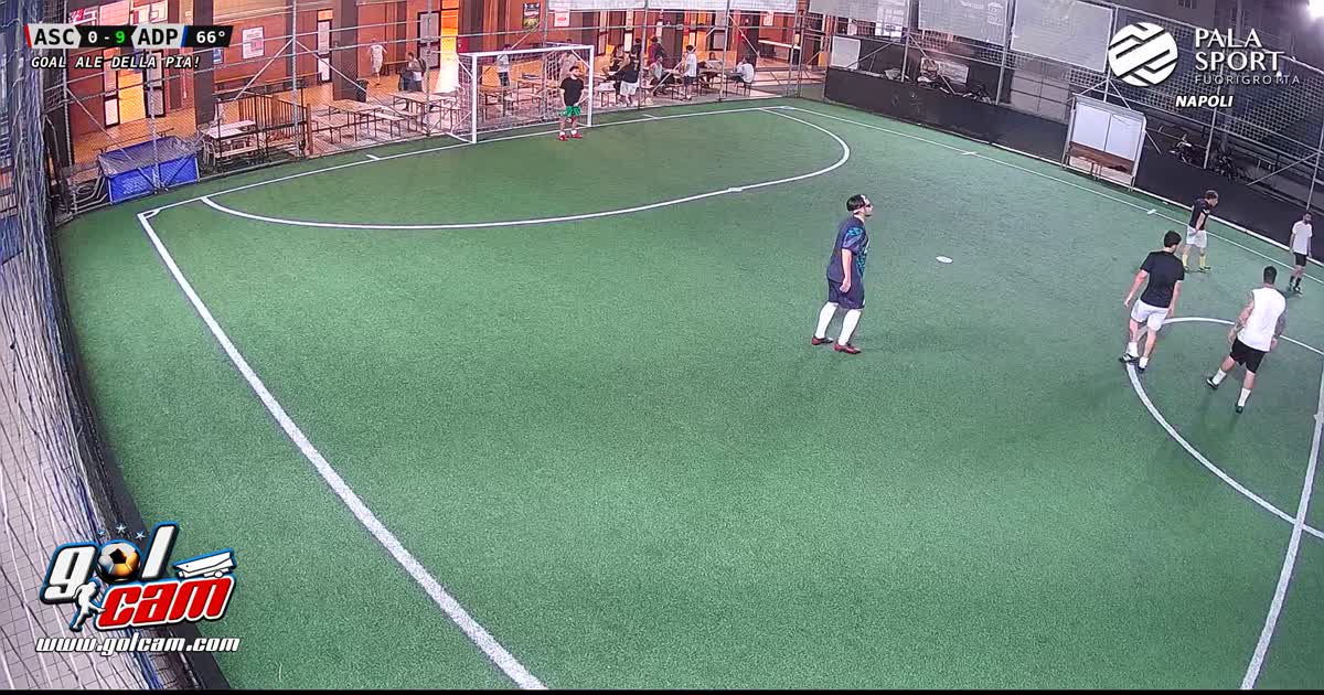 Goal 9